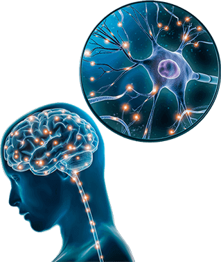 The Brain Song Audio Program — Digital Download